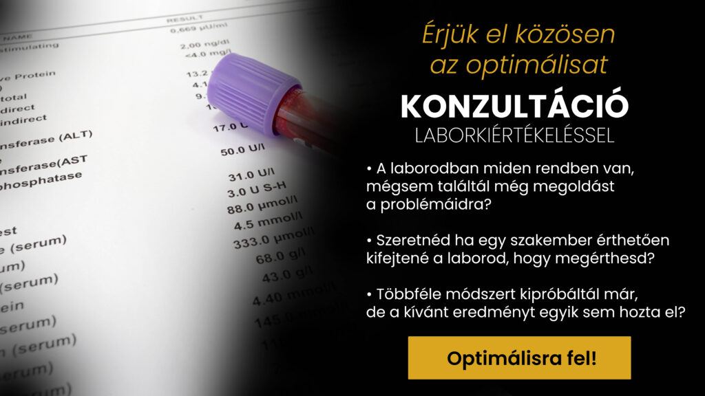 Egyéni konzultáció laboreredmények értelmezése alapján sokkal hatékonyabb köszönhetően a személyre szabott étrendnek és vitaminok beállításának