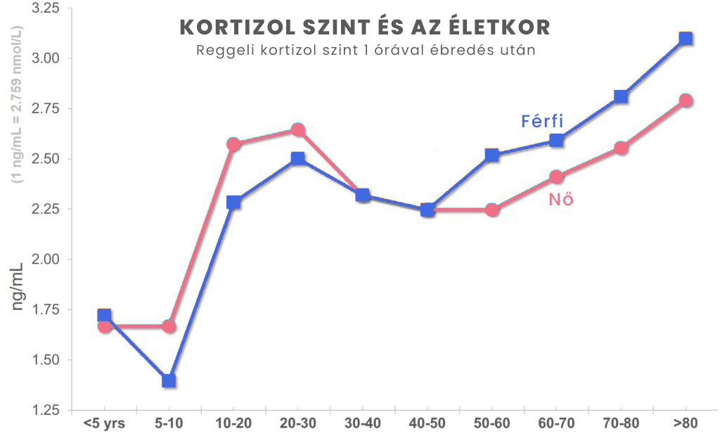 A kortizolszint kamaszkorban és később 50 éves kor felett életkorra együtt folyamatosan emelkedik a kutatások alapján.