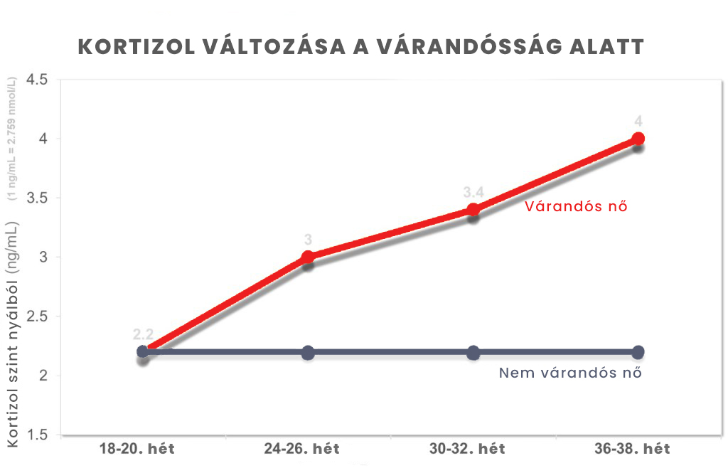 Várandós nők esetén, terhesség ideje alatt a kortizol szint természetes módon folyamatosan emelkedik, és szülés után ideális esetben visszaáll.