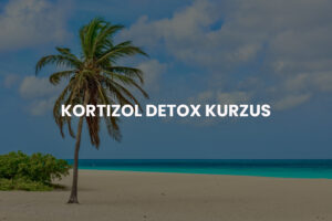 Kortizol Detox Kurzus